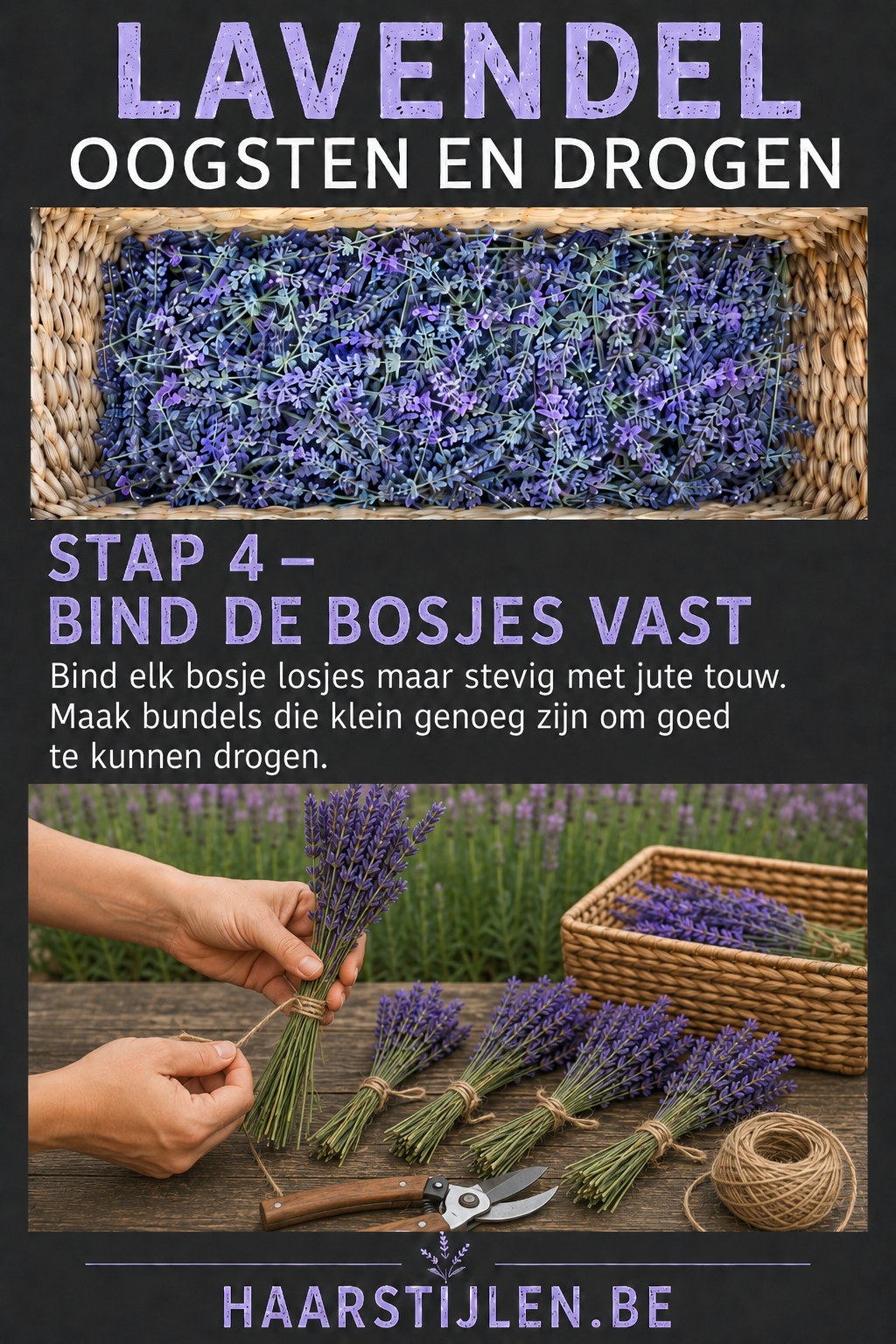Bundel lavendel die met jute touw wordt vastgebonden voor het drogen op een houten plank