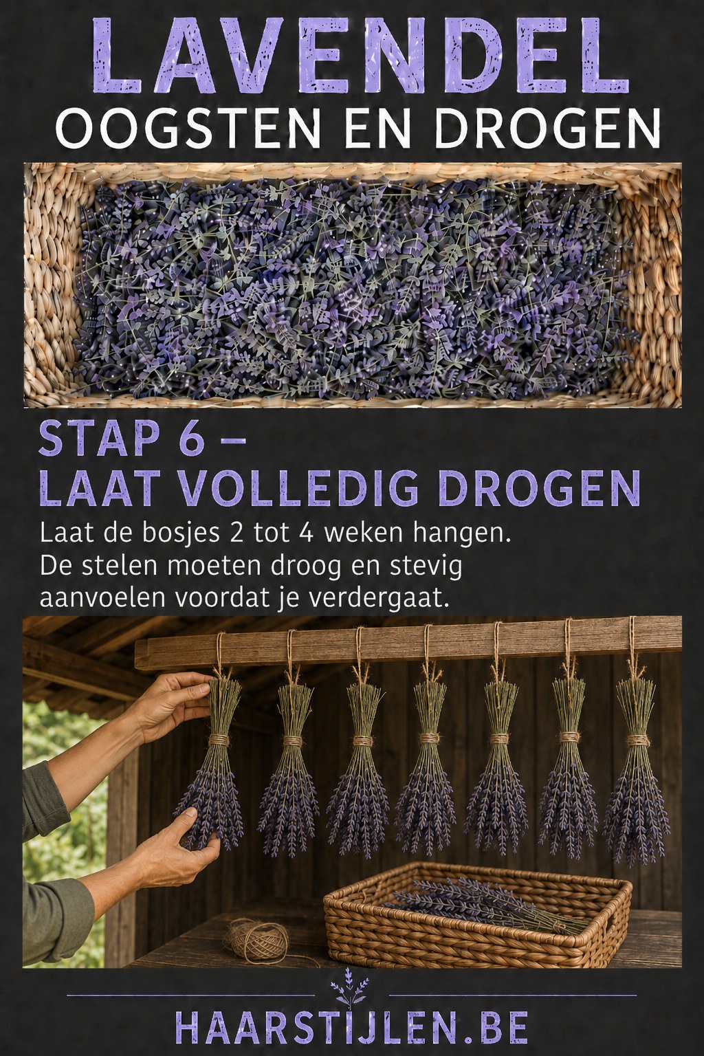 Volledig gedroogde lavendelbundels die stevig en donker gekleurd aan een houten balk hangen