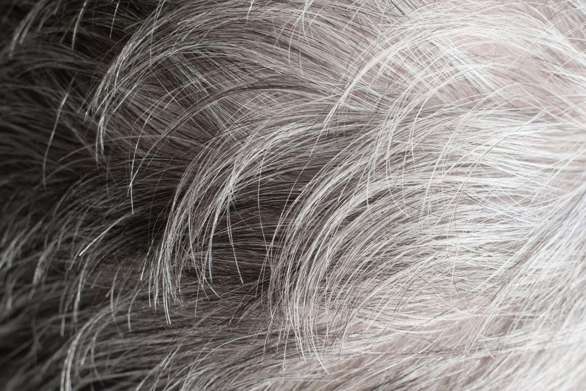 Grauwe haren verven tips voor een natuurlijke kleur