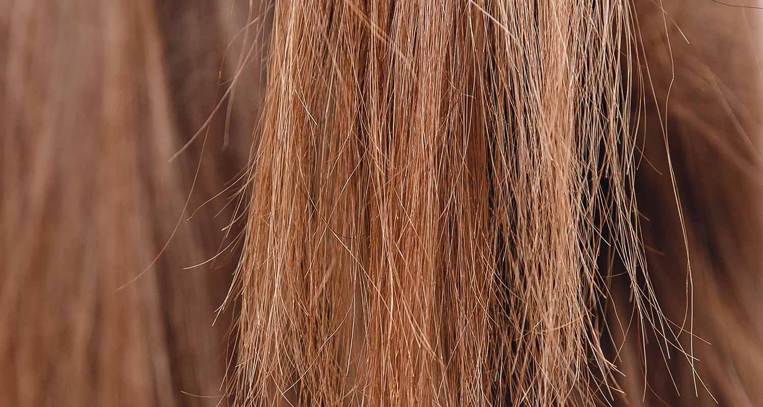 Droog en beschadigd haar herstellen: mijn beste tips